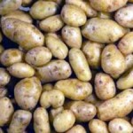 На Волыни неудовлетворительный урожай картофеля